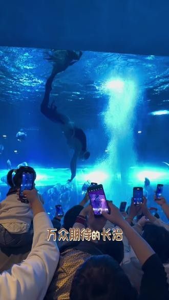 潞城哪個水族館龍魚好？祥龍魚場龍魚（城祥龍魚場以其優質的龍魚品種和專業的養殖技術和專業的養殖技術而聞名）