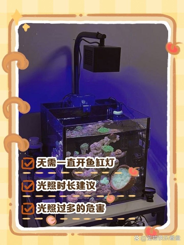 紅龍魚燈光開啟時間多久合適（關于紅龍魚燈光開啟時間的詳細分析）