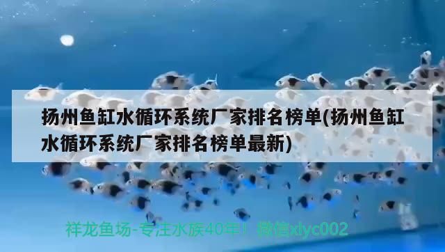 揚州魚缸水循環系統廠家排名榜單(揚州魚缸水循環系統廠家排名榜單最新)（揚州魚缸水循環系統廠家排名榜單）
