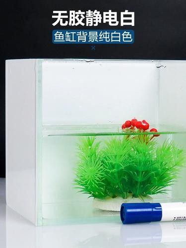 哪里可以找到更多高清的龍魚壁紙（如何找到高清龍魚壁紙）