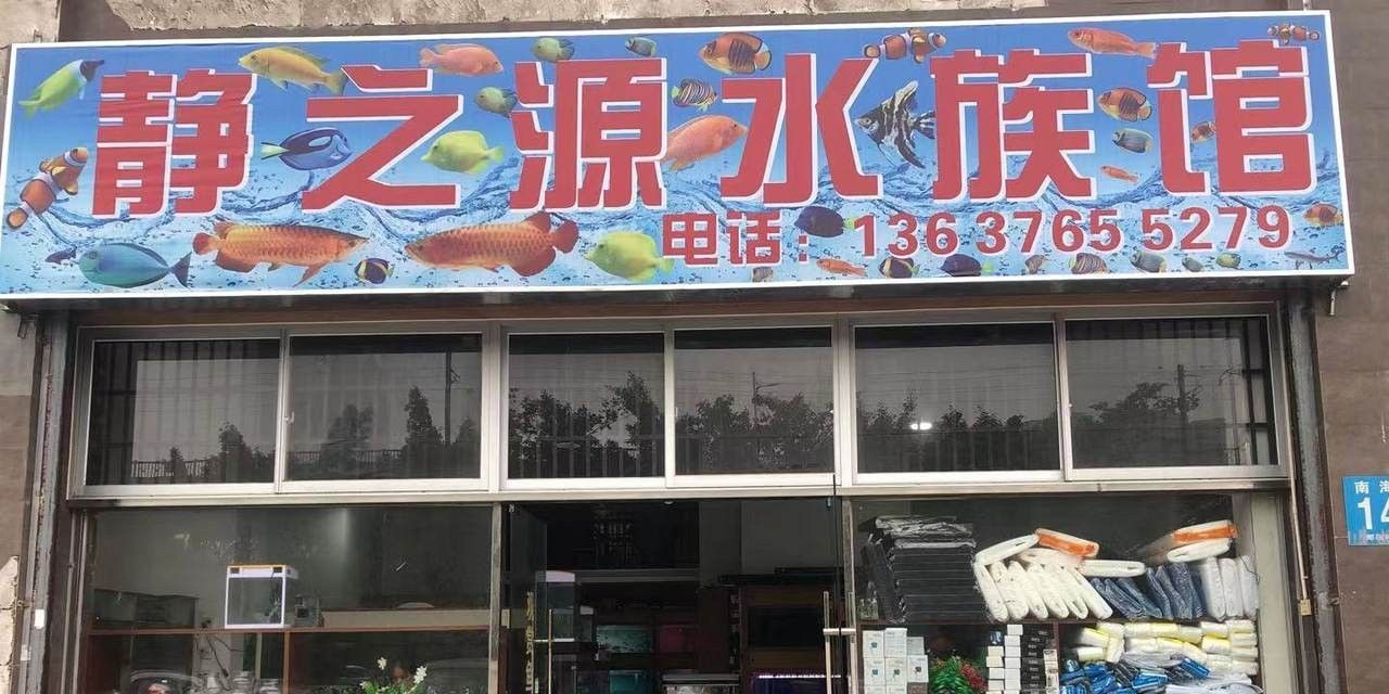 ?？谀膫€水族館龍魚好？祥龍魚場龍魚（海南省海口市祥龍魚場）