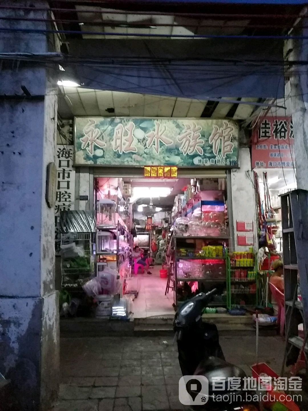 ?？谀膫€水族館龍魚好？祥龍魚場龍魚（海南省?？谑邢辇堲~場）