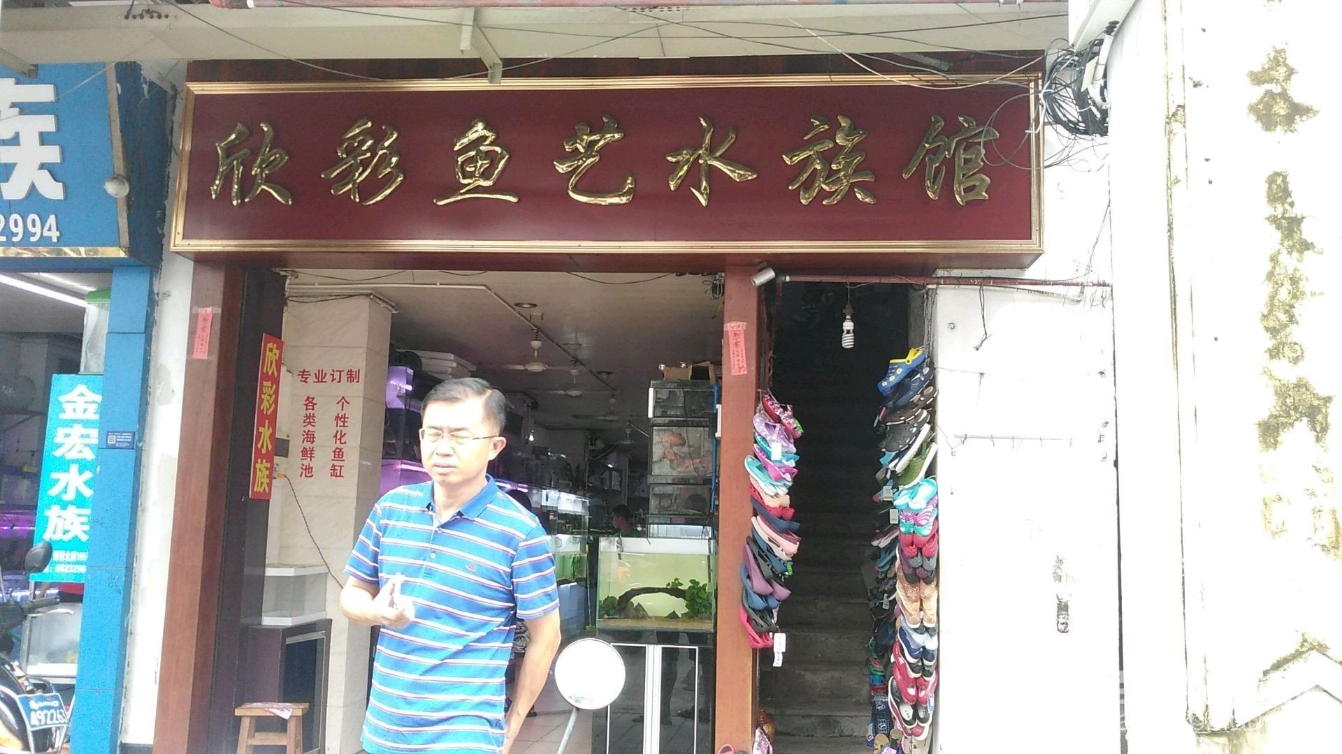 ?？谀膫€水族館龍魚好？祥龍魚場龍魚（海南省海口市祥龍魚場）