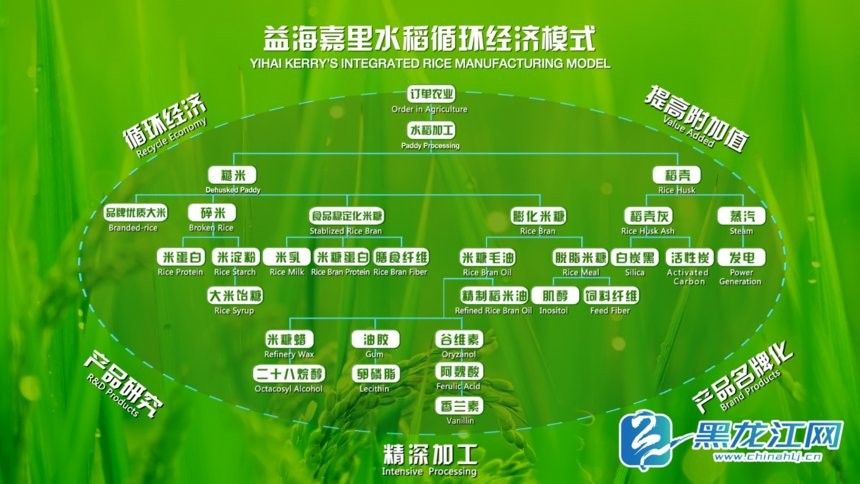齊齊哈爾金龍魚產業園有哪些部門（齊齊哈爾金龍魚產業園的主要職責是什么？）