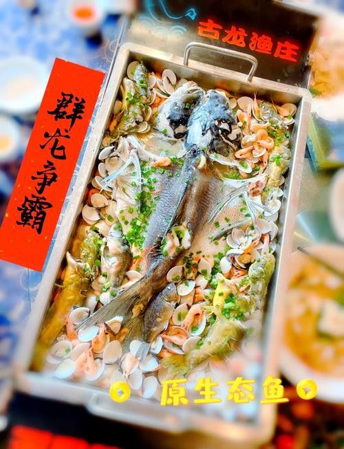 古龍魚莊有哪些套餐（清遠古龍峽景區內的特色農家菜餐廳古龍漁莊套餐選擇）
