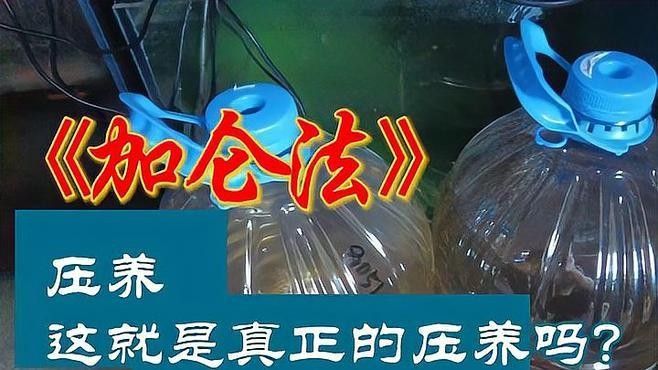 加侖法發(fā)色具體步驟是什么？（加侖法發(fā)色是一種通過使用特定化學(xué)物質(zhì)改變頭發(fā)顏色的方法）