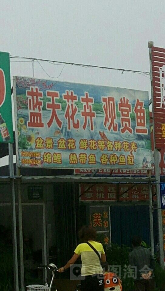 東昌府區(qū)還有哪些水族店(山東省聊城市東昌府區(qū)水族店分布較廣) 龍魚百科 第1張 東昌府區(qū)還有哪些水族店(山東省聊城市東昌府區(qū)水族店分布較廣) 東昌府區(qū)還有哪些水族店(山東省聊城市東昌府區(qū)水族店分布較廣) 龍魚百科 第1張