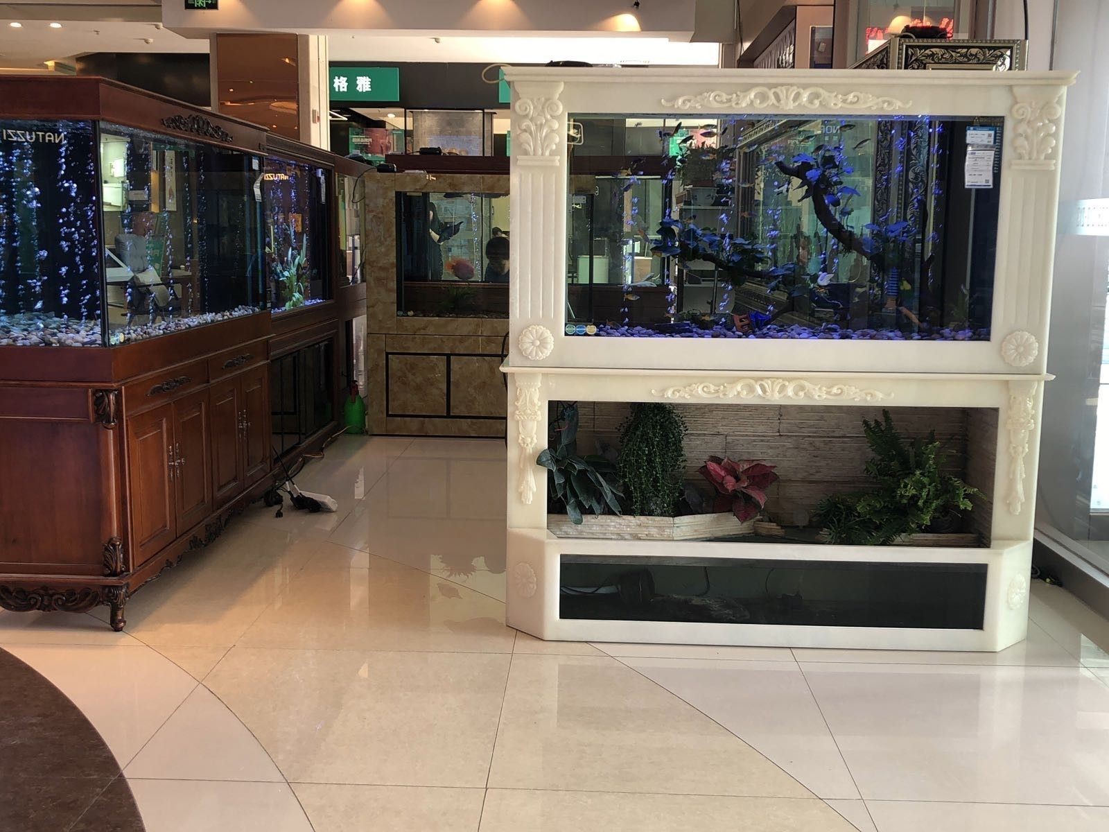 東昌府區(qū)還有哪些水族店(山東省聊城市東昌府區(qū)水族店分布較廣) 龍魚百科 第5張 東昌府區(qū)還有哪些水族店(山東省聊城市東昌府區(qū)水族店分布較廣) 東昌府區(qū)還有哪些水族店(山東省聊城市東昌府區(qū)水族店分布較廣) 龍魚百科 第5張