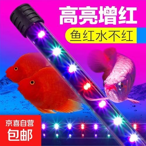 如何選擇適合龍魚的三基色燈（養龍魚不知道怎么選燈？）