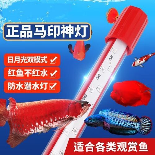 如何選擇適合龍魚的三基色燈（養龍魚不知道怎么選燈？）