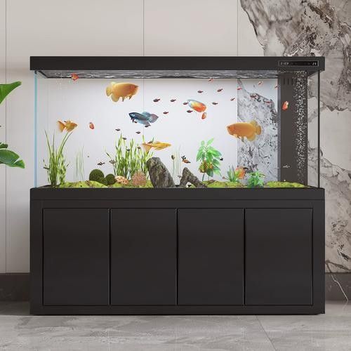 龍魚缸的價格范圍是多少？（20-30公分龍魚缸飼養技巧與注意事項）
