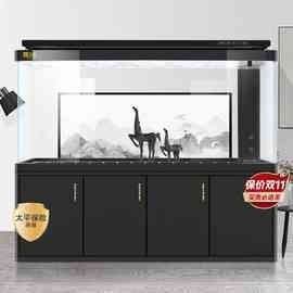 龍魚缸的價格范圍是多少？（20-30公分龍魚缸飼養技巧與注意事項）