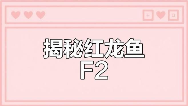 錦鯉爛身的6個征兆，錦鯉爛身的6個典型征兆，如何預防錦鯉爛身后如何治療