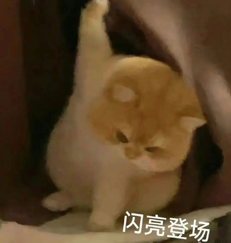 龍頭歪斜矯正手術(shù)風(fēng)險大嗎？（龍頭歪斜矯正手術(shù)有哪些風(fēng)險）