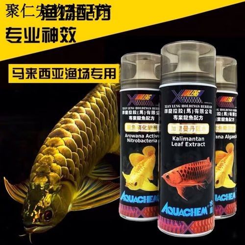 吳江哪個水族館龍魚好？祥龍魚場龍魚（吳江祥龍魚場）