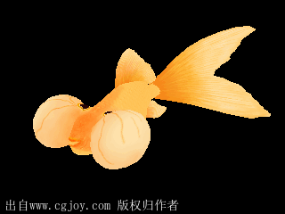 如何判斷金龍魚兜嘴的程度（龍魚兜嘴判斷金龍魚兜嘴的程度需要從以下幾個方面進行觀察）