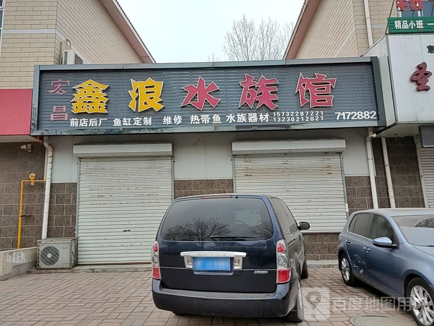 滿城哪個水族館龍魚好？祥龍魚場龍魚（保定市滿城區哪個水族館口碑最好？）