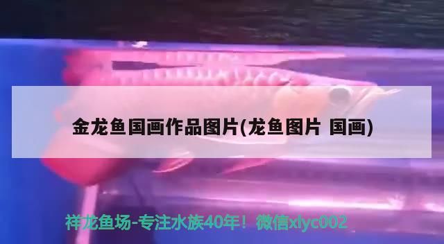 金龍魚國畫作品圖片(龍魚圖片國畫)（金龍魚國畫作品圖片）
