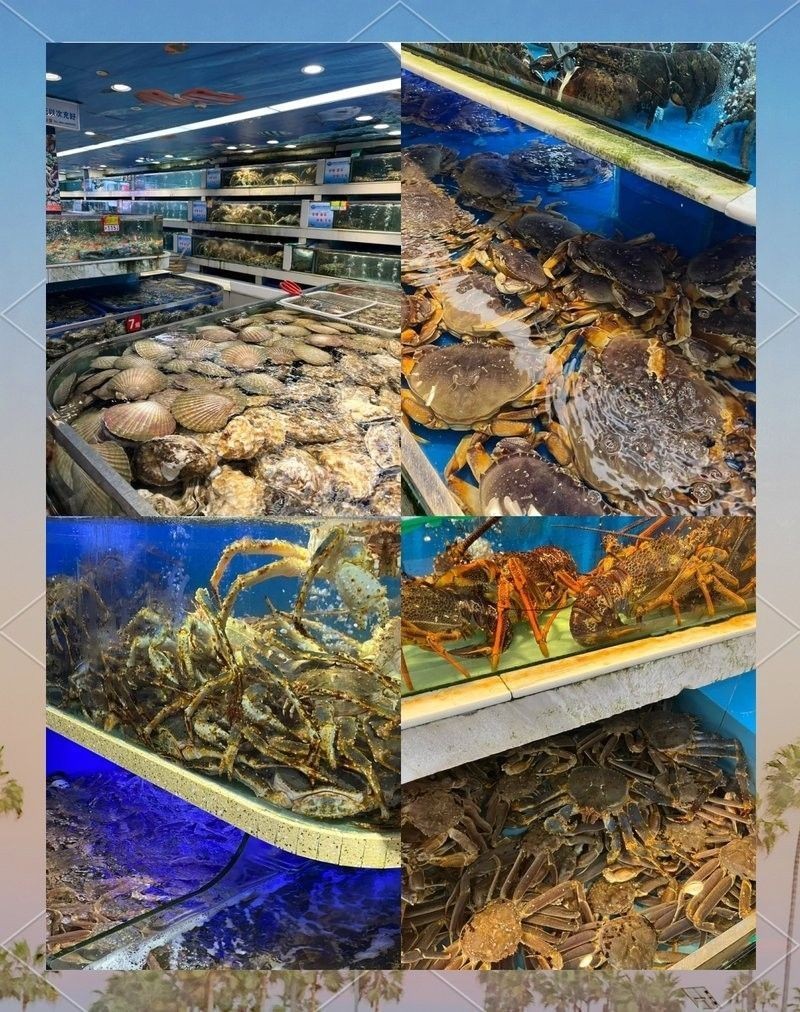 成都龍魚批發市場的營業時間（成都龍魚批發市場）