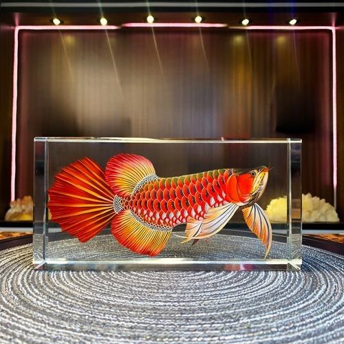 金龍魚翹嘴的價格是多少（金龍魚和翹嘴魚哪個更受歡迎金龍魚和翹嘴魚哪個更受歡迎）