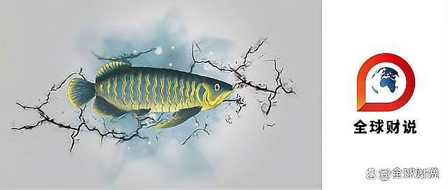 金龍魚的品牌修復計劃何時開始（金龍魚品牌修復計劃啟動時間并未明確給出）