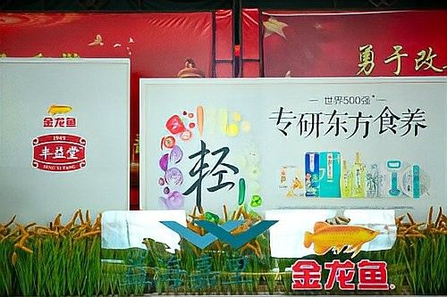 金龍魚的品牌修復計劃何時開始（金龍魚品牌修復計劃啟動時間并未明確給出）