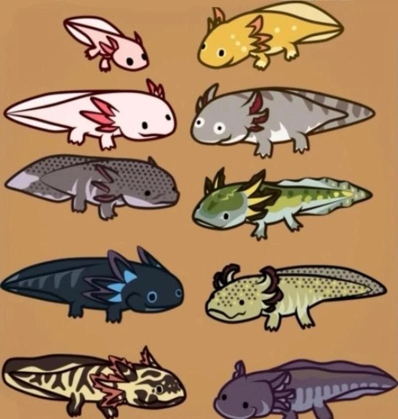 六角恐龍魚多久換一次水（六角恐龍魚幾天換一次水）