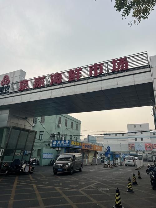 哪里可以購買到南鱧？（南鱧的購買渠道有哪些？）