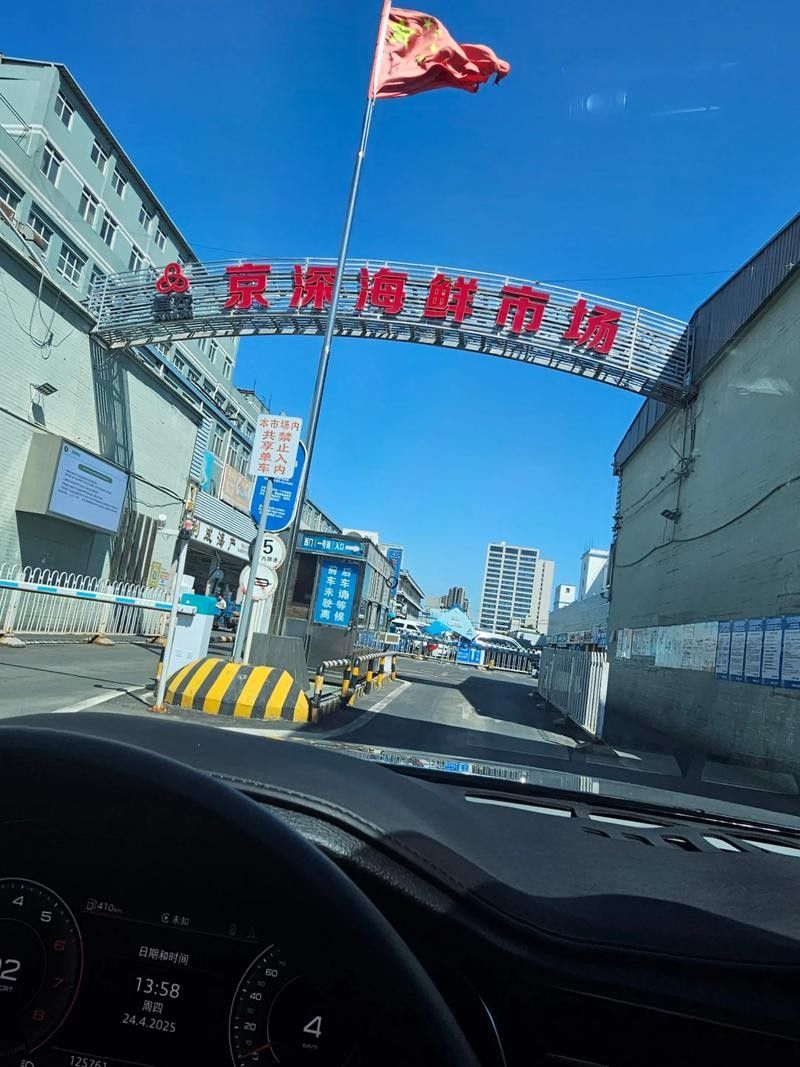 哪里可以購買到南鱧？（南鱧的購買渠道有哪些？）