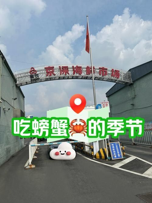 哪里可以購買到南鱧？（南鱧的購買渠道有哪些？）