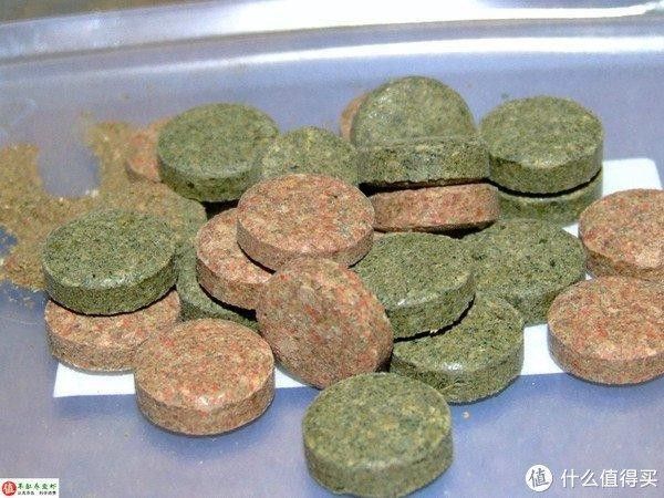 如何自制恐龍魚飼料（如何制作恐龍魚飼料）