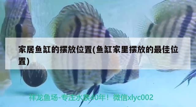 為何養(yǎng)魚要擇日,最近有什么好看的日漫或國漫(《斗羅大陸》養(yǎng)魚擇日) 觀賞魚百科 第1張 為何養(yǎng)魚要擇日,最近有什么好看的日漫或國漫(《斗羅大陸》養(yǎng)魚擇日) 為何養(yǎng)魚要擇日,最近有什么好看的日漫或國漫(《斗羅大陸》養(yǎng)魚擇日) 觀賞魚百科 第1張