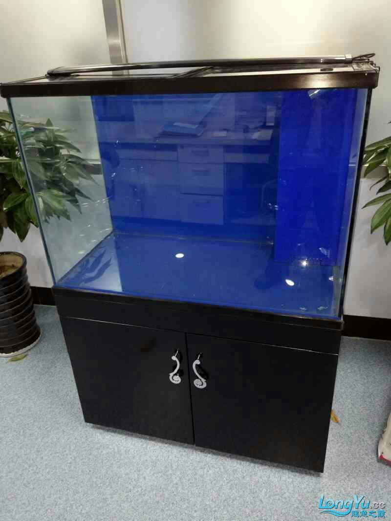 觀賞魚多久喂一次食合適，新手避坑必看金鏟攻略：觀賞魚多久喂一次一次食合適