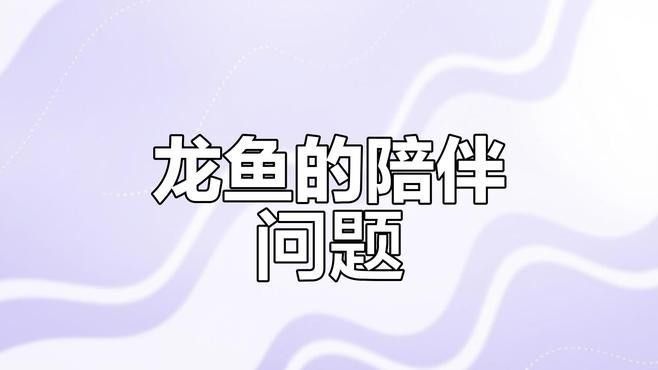 龍魚混養的最佳伴侶有哪些（如何選擇龍魚混養的最佳伴侶）