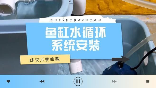 如何設置循環水流系統？（魚缸水循環水流系統安裝方法luminavista熱水器安裝方法）