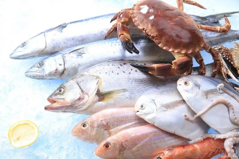 龍魚麻藥殘留如何檢測（龍魚麻藥殘留檢測方法）