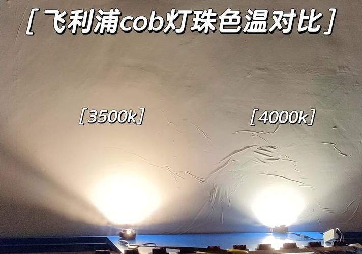飛利浦865燈管有哪些色溫可選（飛利浦865燈管怎么樣？）