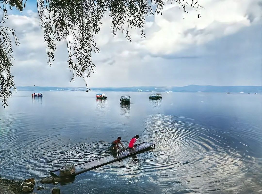 金龍魚拍攝的最佳季節是什么時候（金龍魚拍攝的最佳季節） 金龍魚拍攝的最佳季節是什么時候（金龍魚拍攝的最佳季節） 龍魚百科 第1張