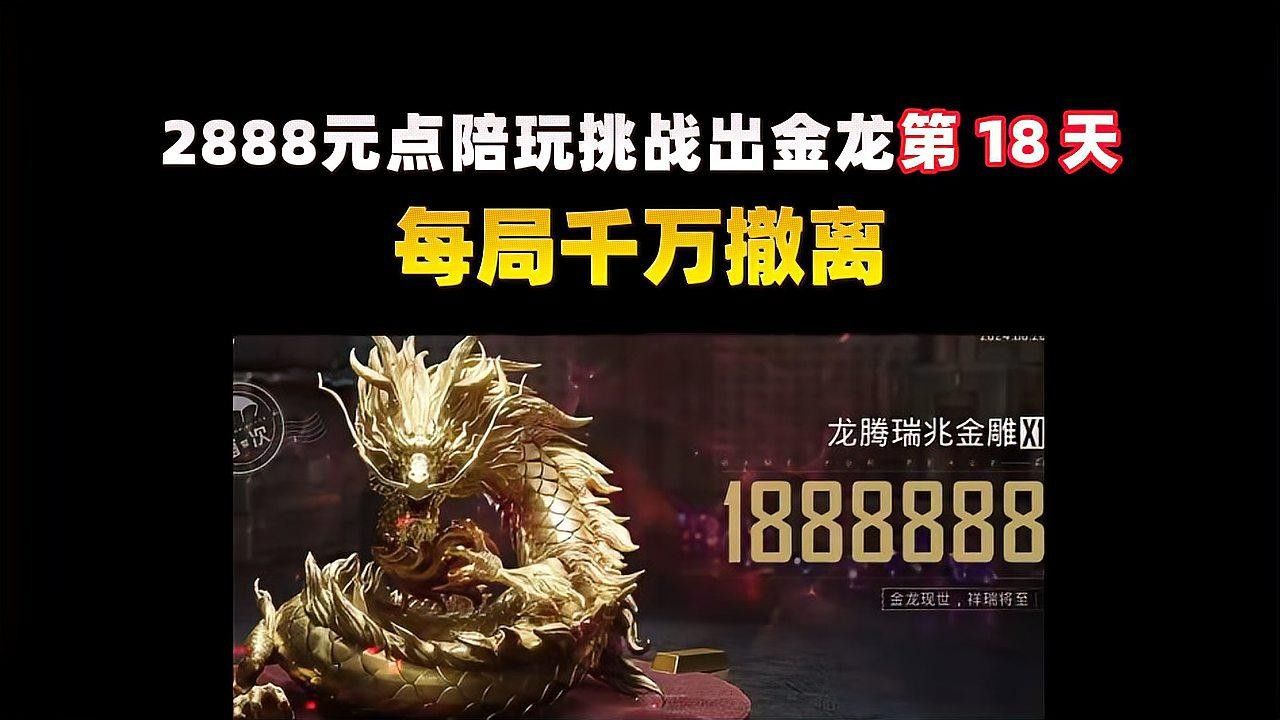 如何優化金龍魚發色？（如何優化金龍魚的發色）