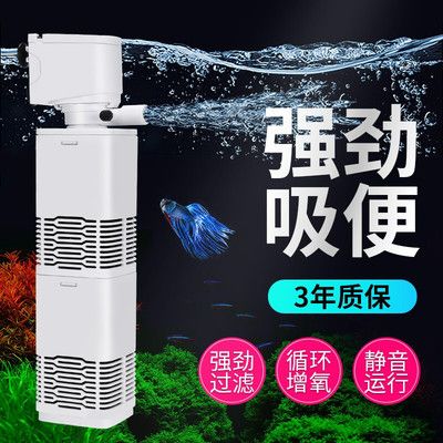 龍魚常見病蟲害有哪些呢（龍魚常見病蟲害有哪些呢圖片）（龍魚常見病蟲害及其防治方法，） 龍魚常見病蟲害有哪些呢（龍魚常見病蟲害有哪些呢圖片）（龍魚常見病蟲害及其防治方法，） 觀賞魚百科