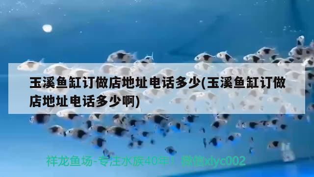 玉溪魚缸訂做店地址電話多少(玉溪魚缸訂做店地址電話多少啊)（關于玉溪魚缸訂做店地址電話多少）