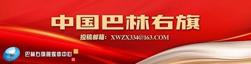 龍龜圖片版權(quán)登記流程是怎樣的？（龍龜圖片版權(quán)登記流程）
