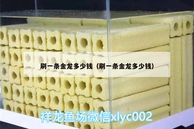 刷一條金龍多少錢（刷一條金龍多少錢）（刷一條金龍多少錢）