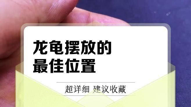 如何保養(yǎng)和田玉龍龜（保養(yǎng)和田玉龍龜的基本建議：保養(yǎng)和田玉龍龜的建議）