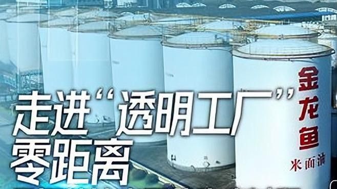 盤錦金龍魚米業有哪些招聘崗位（益海嘉里金龍魚米業招聘崗位）