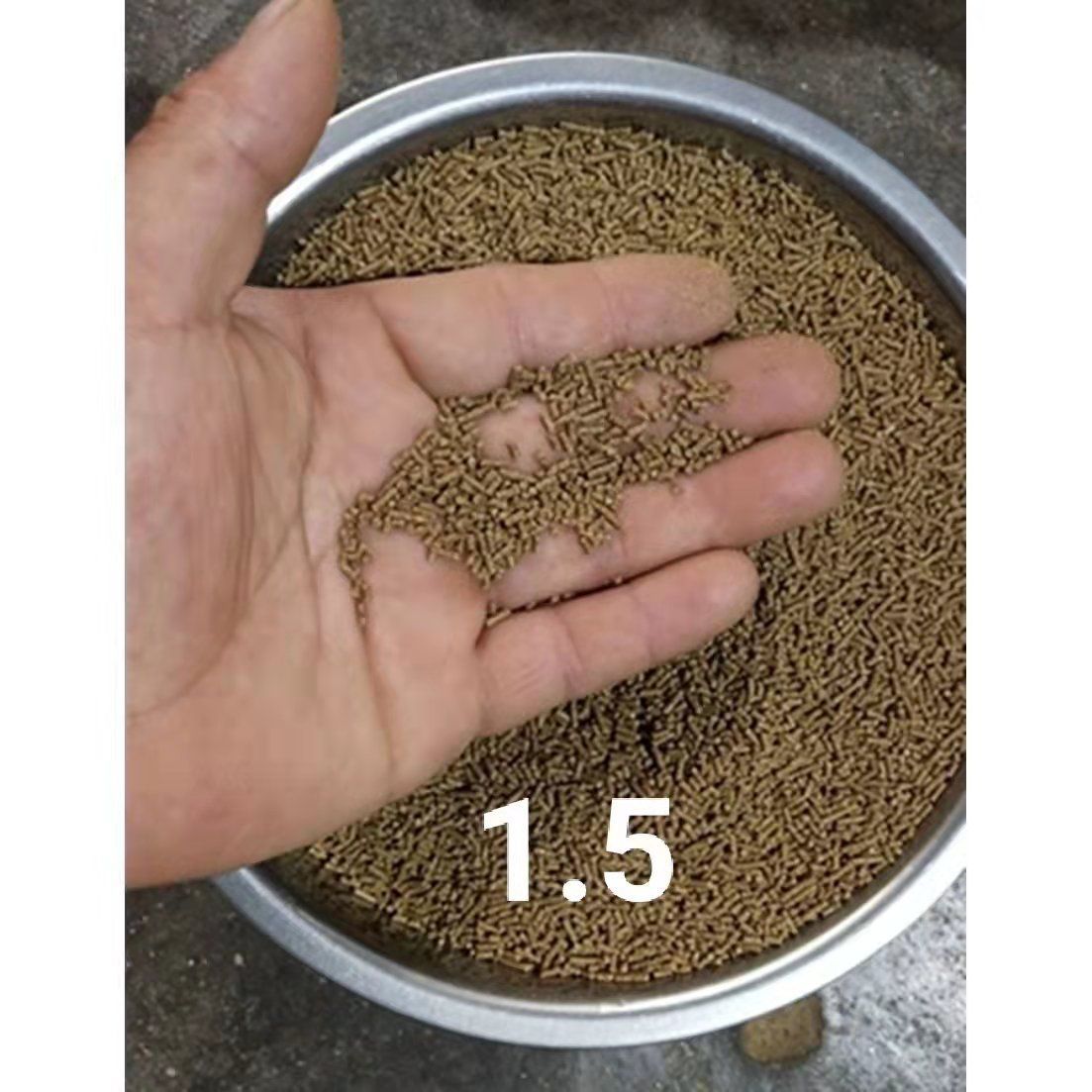 銀板魚苗飼料自制方法（銀板魚苗的飼料配方）