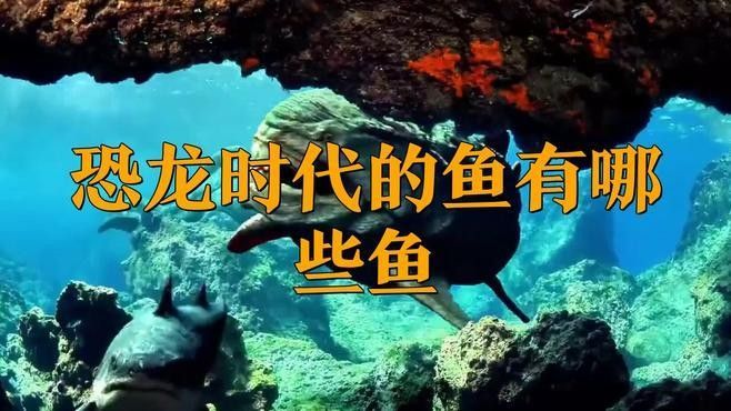 列舉更多恐龍魚的種類（恐龍魚的種類及其特征）