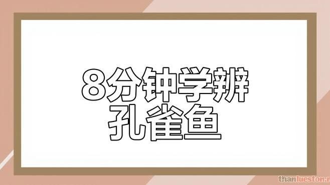 孔雀龍魚哪個品種最貴？（孔雀龍魚品種大揭秘）