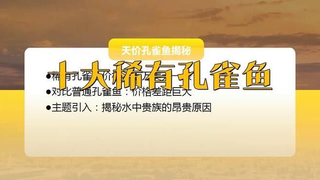 孔雀龍魚哪個品種最貴？（孔雀龍魚品種大揭秘）