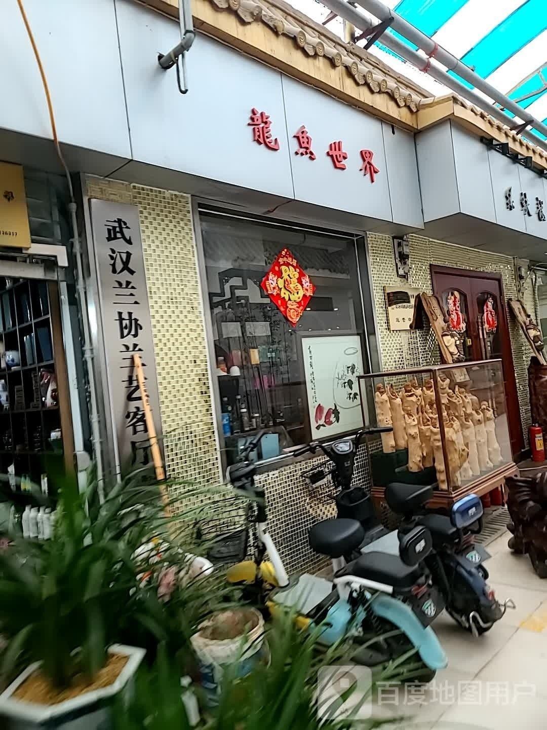 江岸哪個水族館龍魚好？祥龍魚場龍魚（江岸區哪家水族館的龍魚性價比最高？）